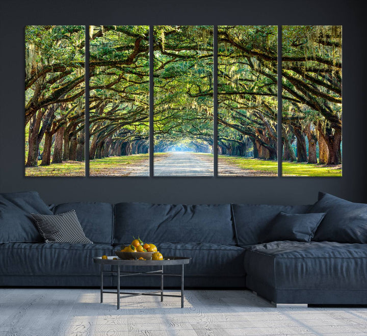 Angel Oak Tree Pathway Canvas Wall Art - 3 Panel Scenic Tree-Lined Road for Living Room, Office, or Bedroom, Ready to Hang Nature-Inspired Decor