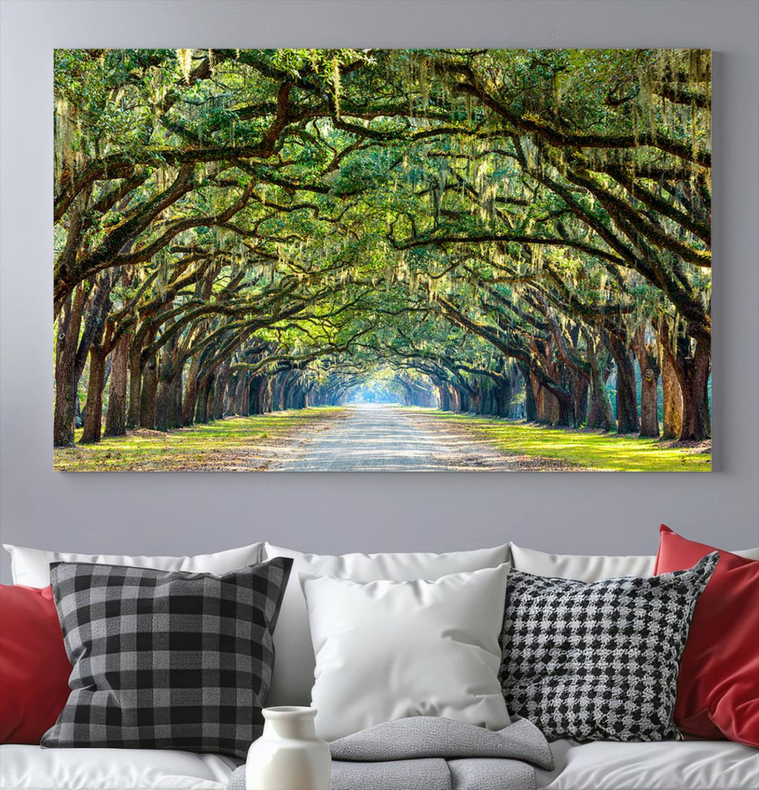 Angel Oak Tree Pathway Canvas Wall Art - 3 Panel Scenic Tree-Lined Road for Living Room, Office, or Bedroom, Ready to Hang Nature-Inspired Decor