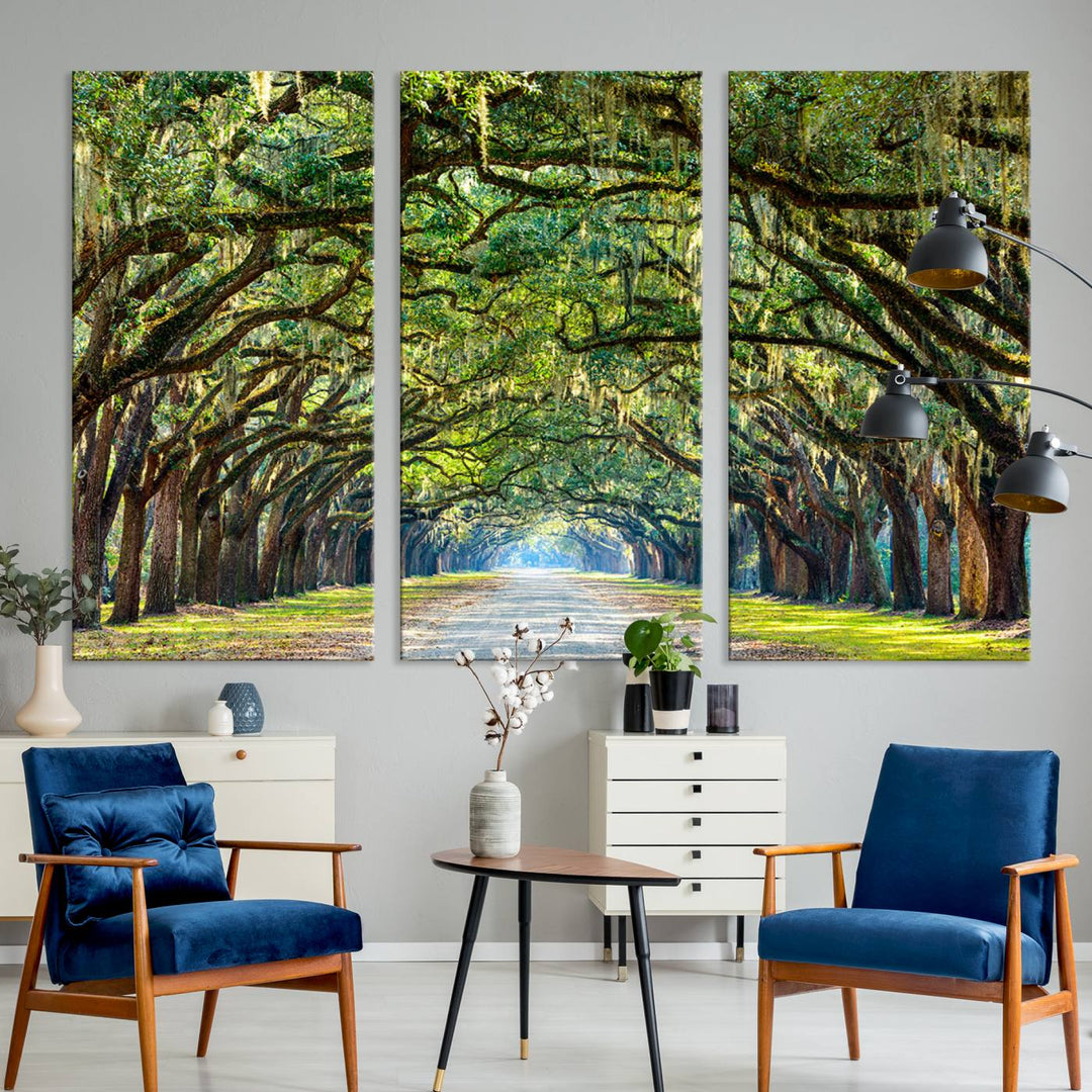 Angel Oak Tree Pathway Canvas Wall Art - 3 Panel Scenic Tree-Lined Road for Living Room, Office, or Bedroom, Ready to Hang Nature-Inspired Decor