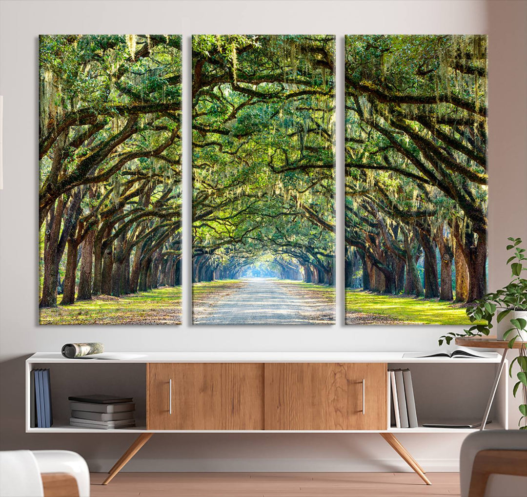 Angel Oak Tree Pathway Canvas Wall Art - 3 Panel Scenic Tree-Lined Road for Living Room, Office, or Bedroom, Ready to Hang Nature-Inspired Decor