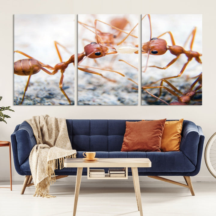 Ants Wall Art, Extra Large Animal Wall Decor, Ant Canvas Print, Farmhouse Wall Art, Set of Panel, Framed Prints