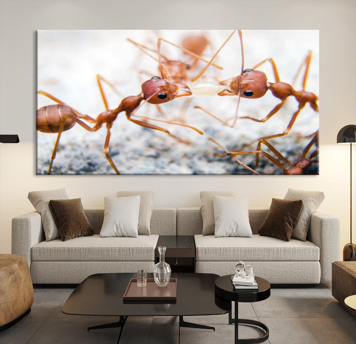 Ants Wall Art, Extra Large Animal Wall Decor, Ant Canvas Print, Farmhouse Wall Art, Set of Panel, Framed Prints