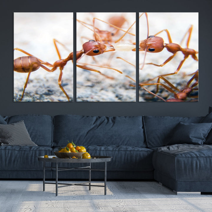 Ants Wall Art, Extra Large Animal Wall Decor, Ant Canvas Print, Farmhouse Wall Art, Set of Panel, Framed Prints