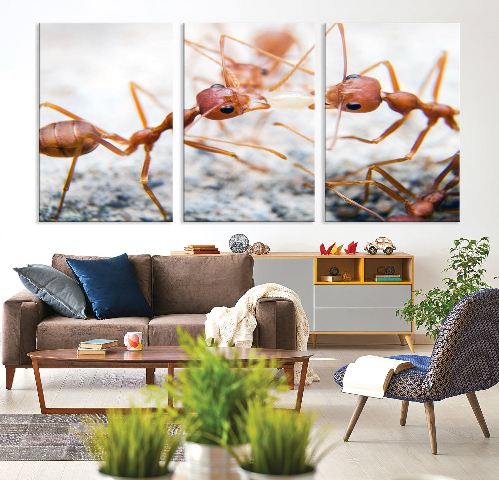 Ants Wall Art, Extra Large Animal Wall Decor, Ant Canvas Print, Farmhouse Wall Art, Set of Panel, Framed Prints