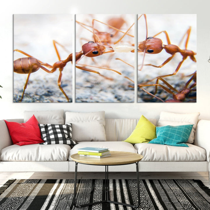 Ants Wall Art, Extra Large Animal Wall Decor, Ant Canvas Print, Farmhouse Wall Art, Set of Panel, Framed Prints