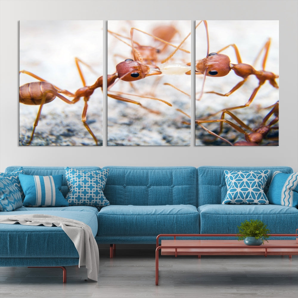 Ants Wall Art, Extra Large Animal Wall Decor, Ant Canvas Print, Farmhouse Wall Art, Set of Panel, Framed Prints