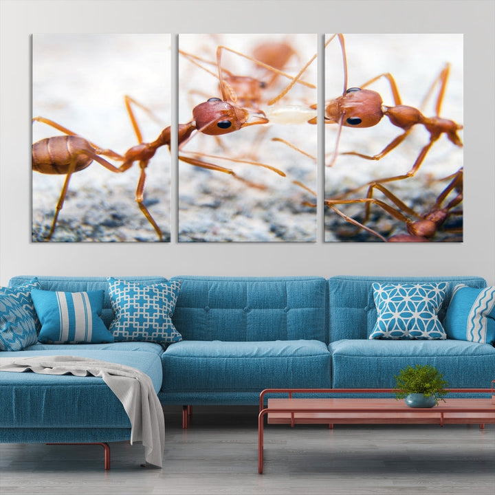 Ants Wall Art, Extra Large Animal Wall Decor, Ant Canvas Print, Farmhouse Wall Art, Set of Panel, Framed Prints