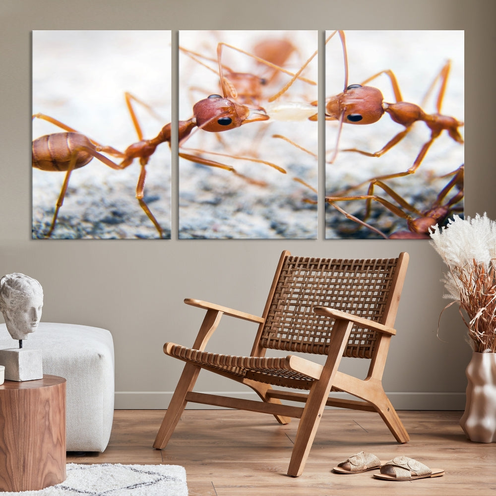 Ants Wall Art, Extra Large Animal Wall Decor, Ant Canvas Print, Farmhouse Wall Art, Set of Panel, Framed Prints