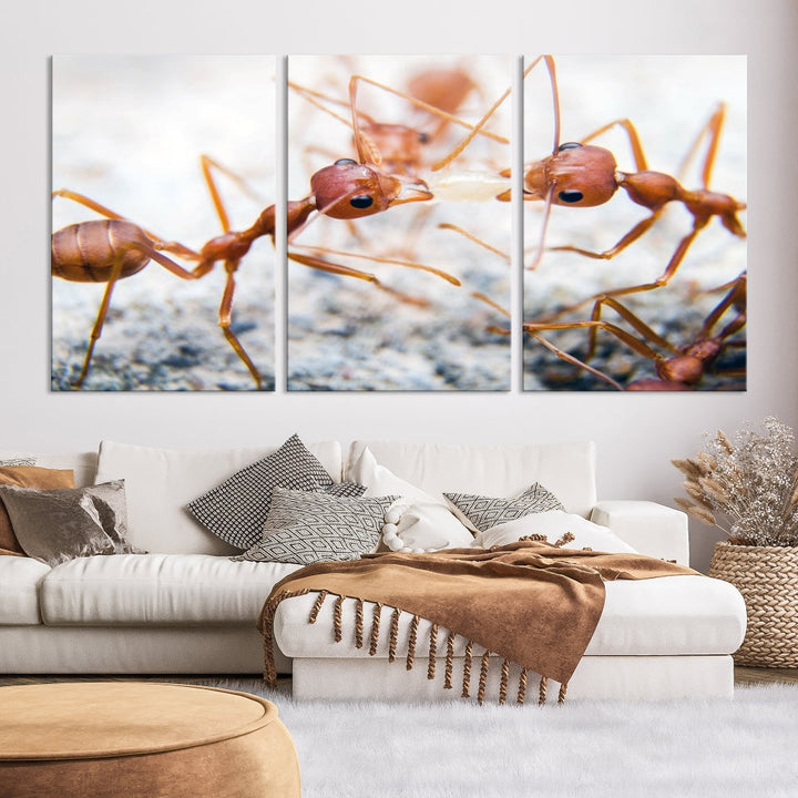 Ants Wall Art, Extra Large Animal Wall Decor, Ant Canvas Print, Farmhouse Wall Art, Set of Panel, Framed Prints