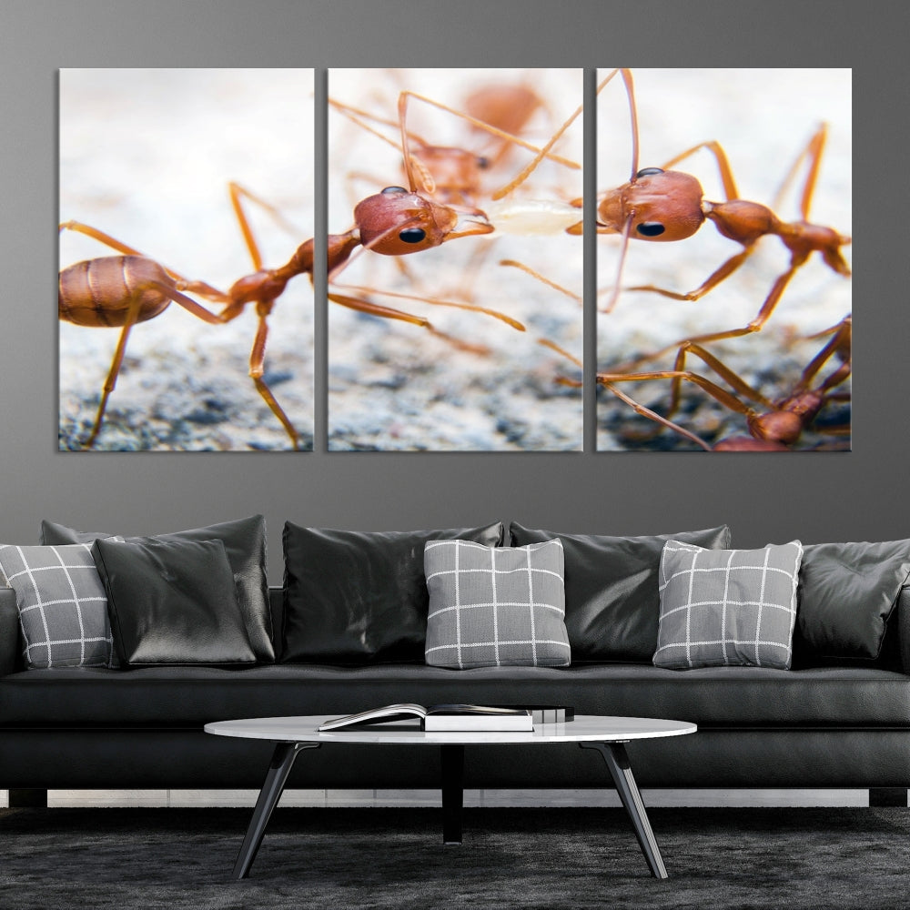 Ants Wall Art, Extra Large Animal Wall Decor, Ant Canvas Print, Farmhouse Wall Art, Set of Panel, Framed Prints