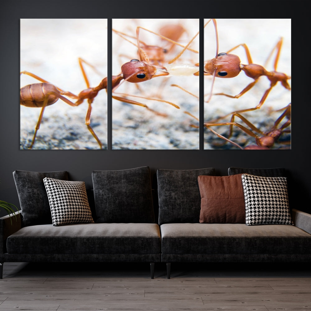 Ants Wall Art, Extra Large Animal Wall Decor, Ant Canvas Print, Farmhouse Wall Art, Set of Panel, Framed Prints