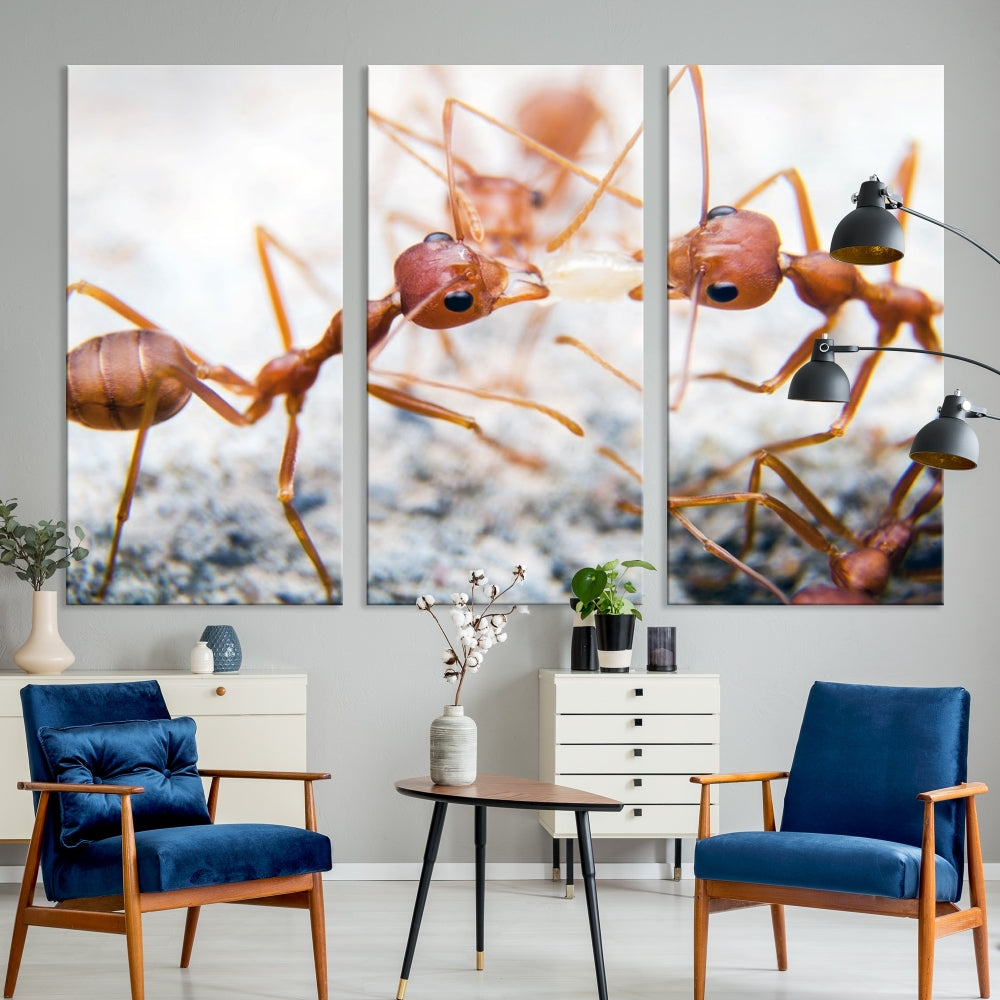 Ants Wall Art, Extra Large Animal Wall Decor, Ant Canvas Print, Farmhouse Wall Art, Set of Panel, Framed Prints