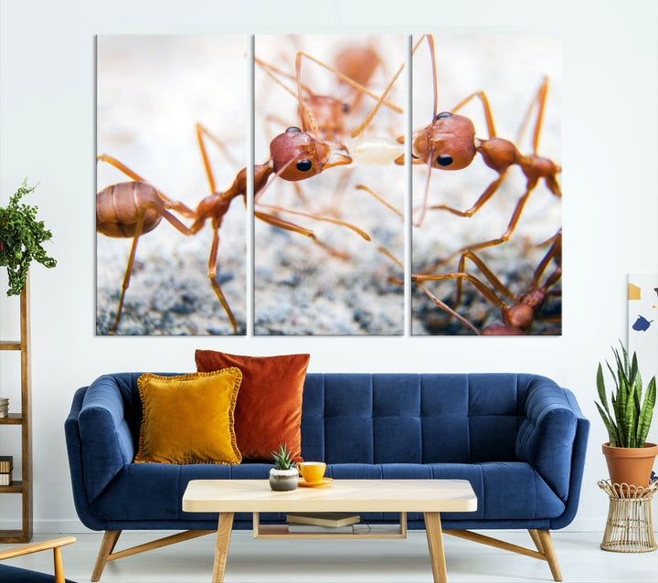 Ants Wall Art, Extra Large Animal Wall Decor, Ant Canvas Print, Farmhouse Wall Art, Set of Panel, Framed Prints