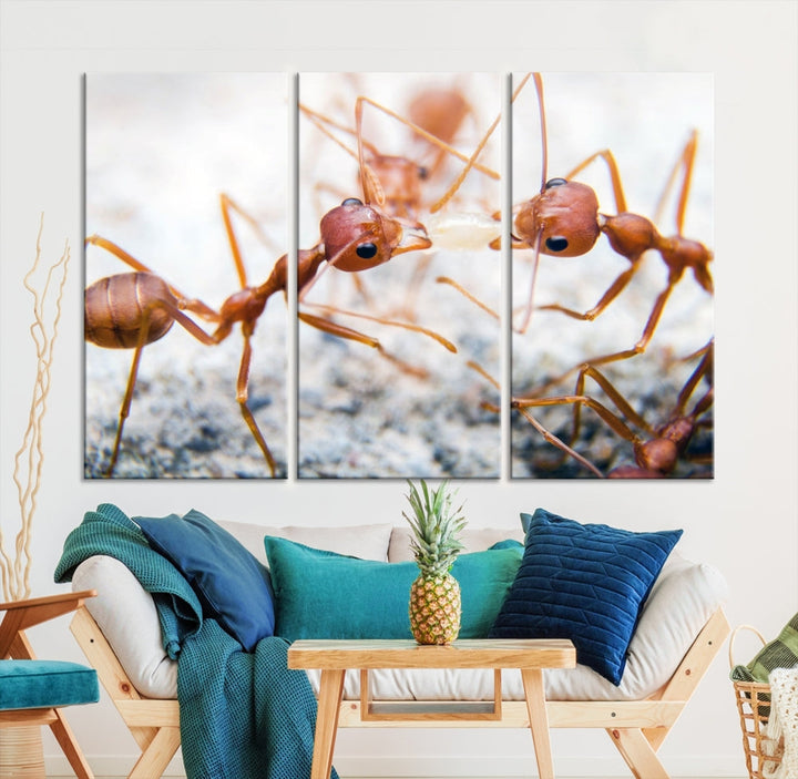 Ants Wall Art, Extra Large Animal Wall Decor, Ant Canvas Print, Farmhouse Wall Art, Set of Panel, Framed Prints