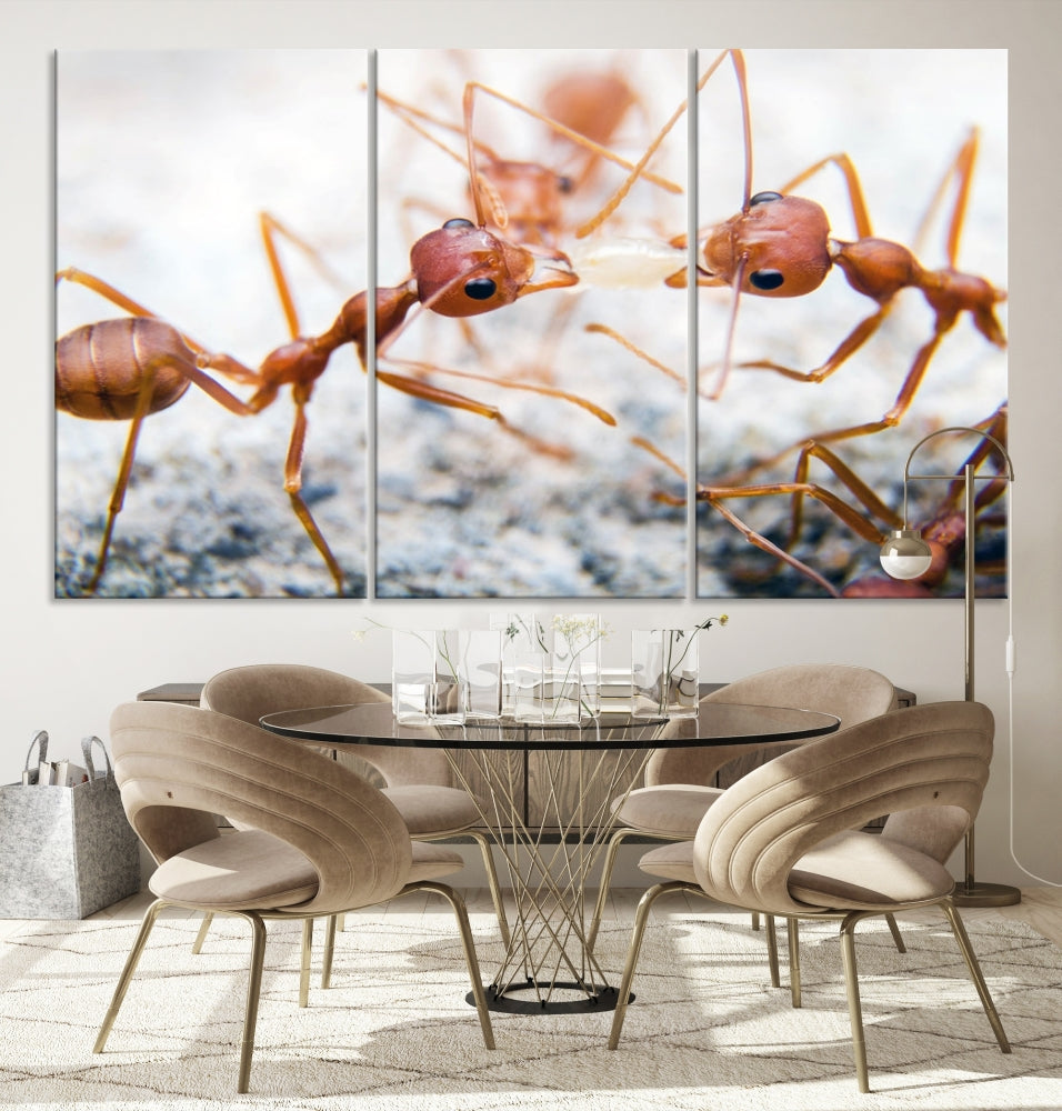 Ants Wall Art, Extra Large Animal Wall Decor, Ant Canvas Print, Farmhouse Wall Art, Set of Panel, Framed Prints