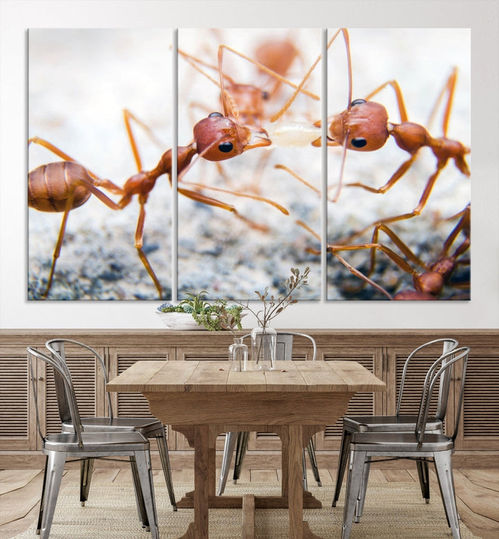 Ants Wall Art, Extra Large Animal Wall Decor, Ant Canvas Print, Farmhouse Wall Art, Set of Panel, Framed Prints