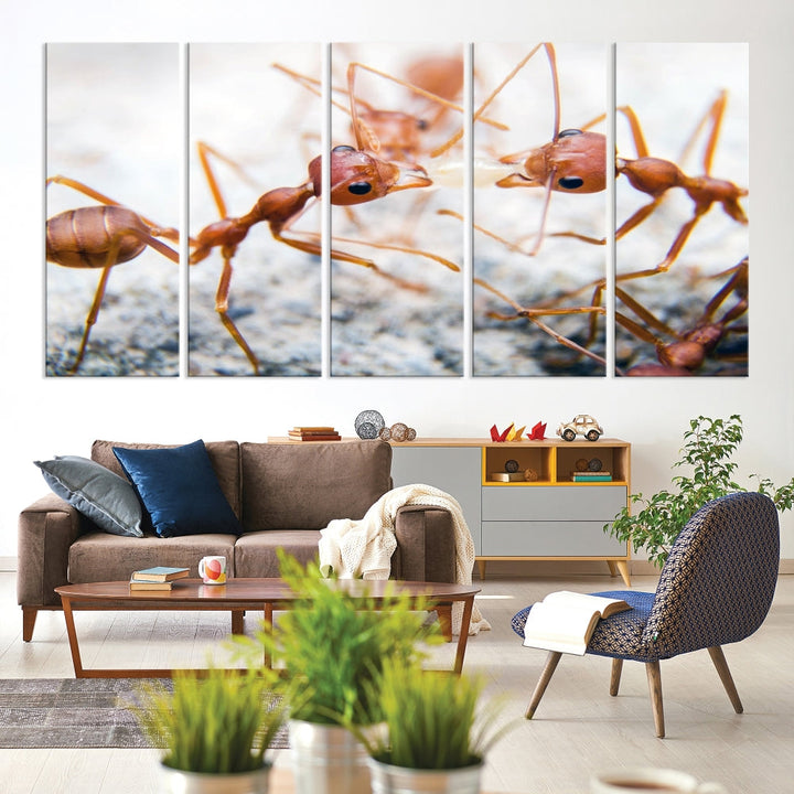 Ants Wall Art, Extra Large Animal Wall Decor, Ant Canvas Print, Farmhouse Wall Art, Set of Panel, Framed Prints