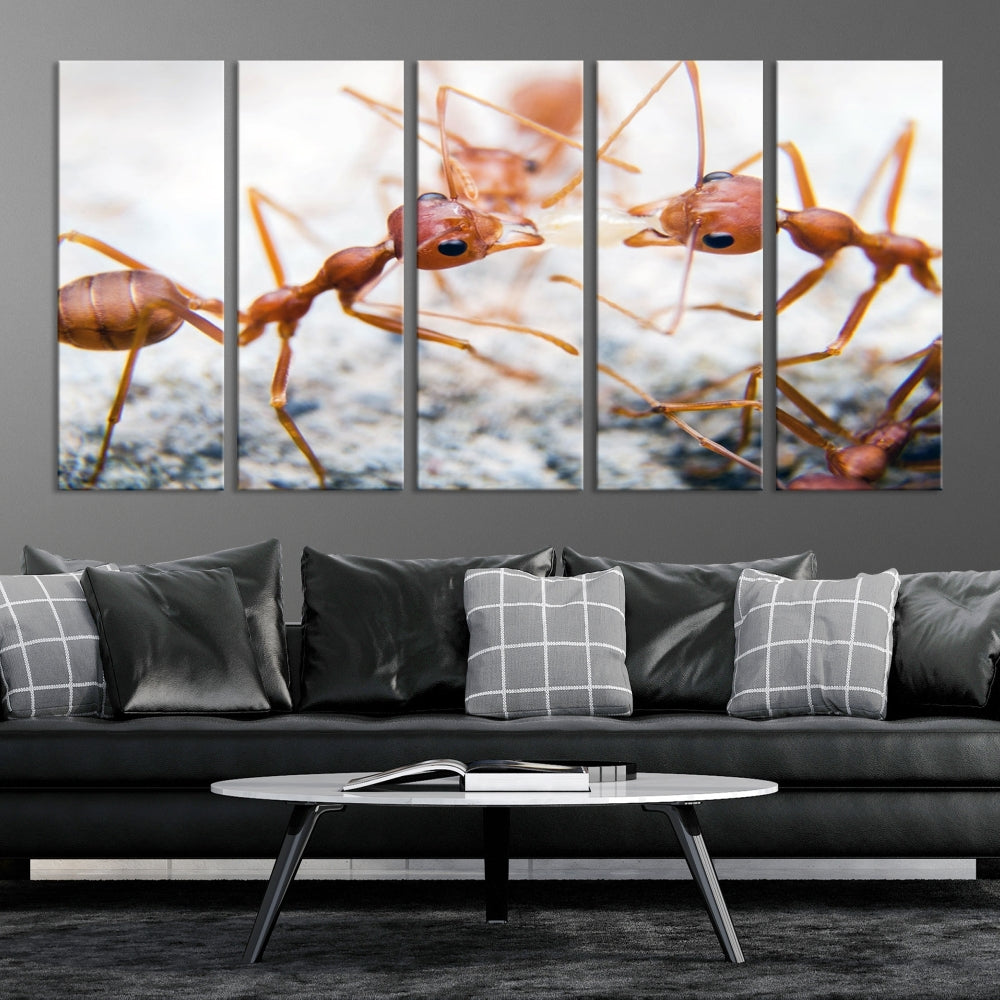 Ants Wall Art, Extra Large Animal Wall Decor, Ant Canvas Print, Farmhouse Wall Art, Set of Panel, Framed Prints