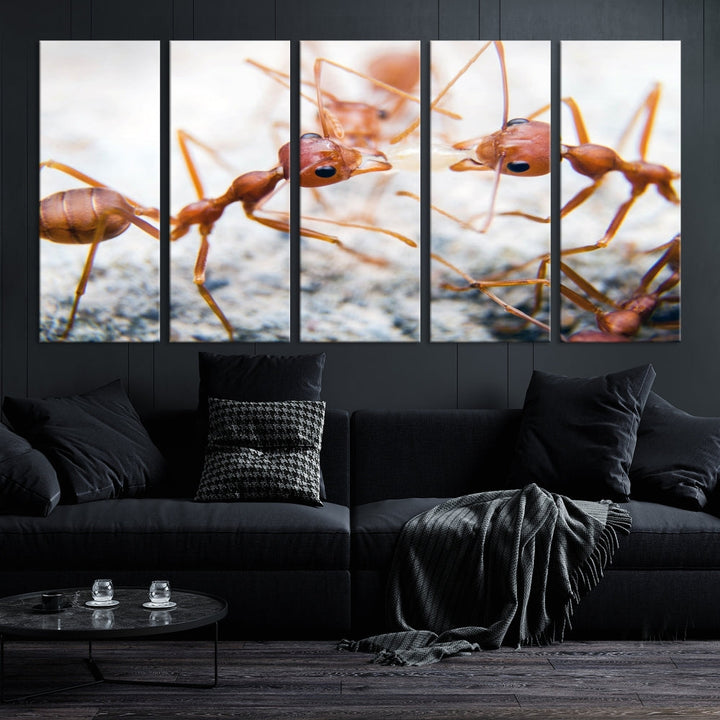 Ants Wall Art, Extra Large Animal Wall Decor, Ant Canvas Print, Farmhouse Wall Art, Set of Panel, Framed Prints