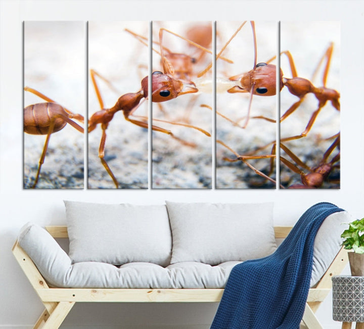 Ants Wall Art, Extra Large Animal Wall Decor, Ant Canvas Print, Farmhouse Wall Art, Set of Panel, Framed Prints