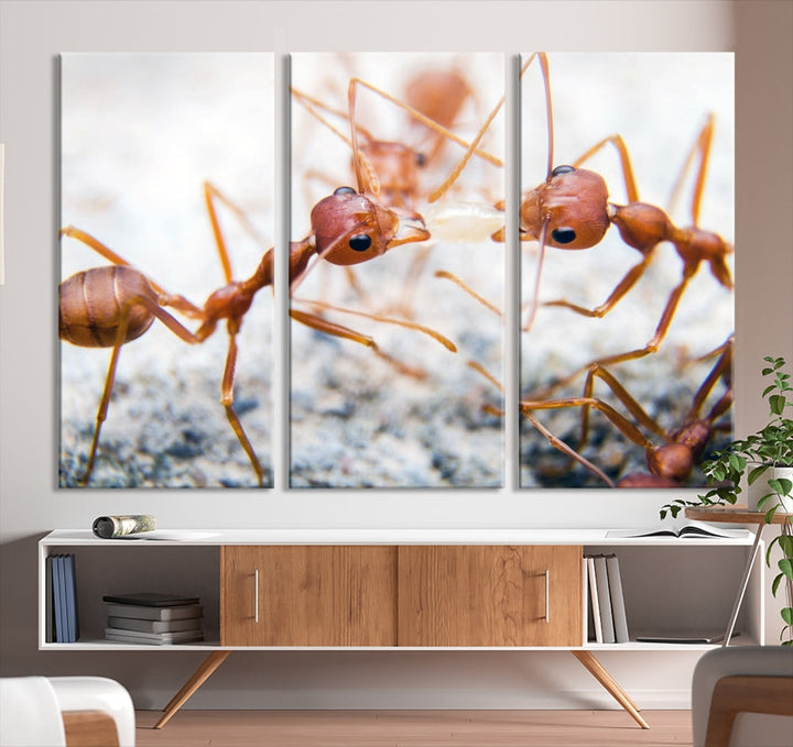 Ants Wall Art, Extra Large Animal Wall Decor, Ant Canvas Print, Farmhouse Wall Art, Set of Panel, Framed Prints