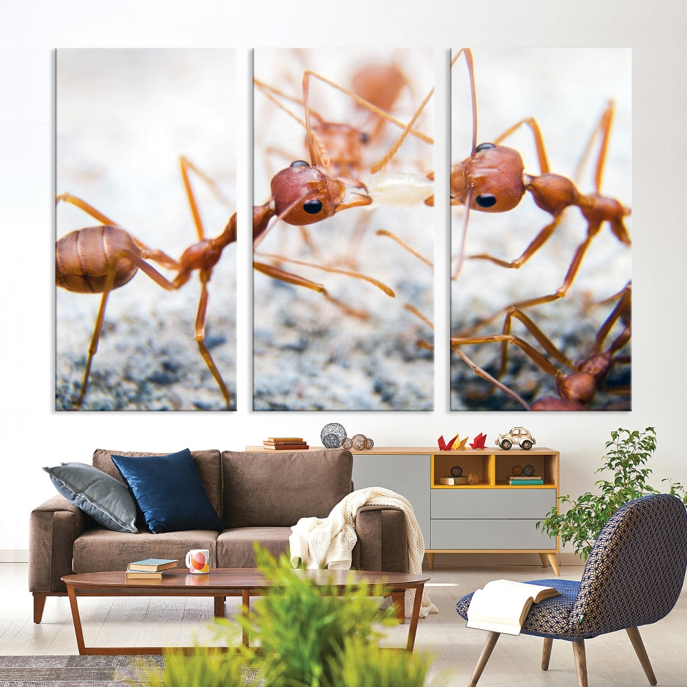 Ants Wall Art, Extra Large Animal Wall Decor, Ant Canvas Print, Farmhouse Wall Art, Set of Panel, Framed Prints