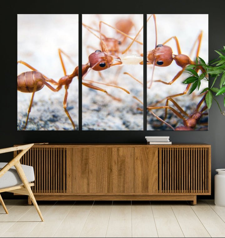 Ants Wall Art, Extra Large Animal Wall Decor, Ant Canvas Print, Farmhouse Wall Art, Set of Panel, Framed Prints