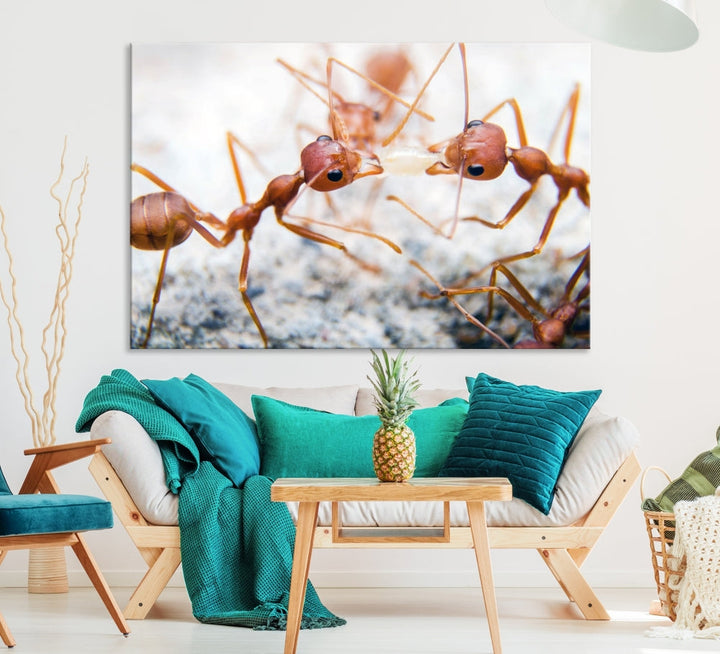 Ants Wall Art, Extra Large Animal Wall Decor, Ant Canvas Print, Farmhouse Wall Art, Set of Panel, Framed Prints