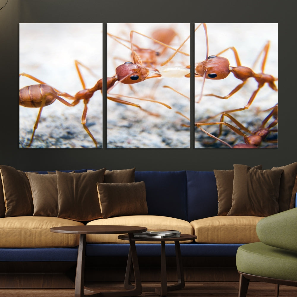 Ants Wall Art, Extra Large Animal Wall Decor, Ant Canvas Print, Farmhouse Wall Art, Set of Panel, Framed Prints