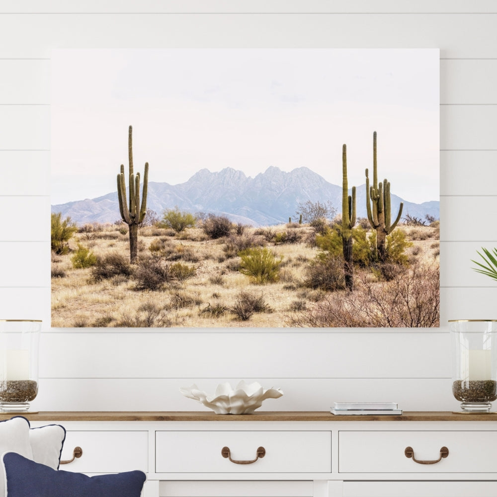 Arizona Sonoran Desert Cactus Wall Art Canvas Print Modern USA Landscape Wall Decor