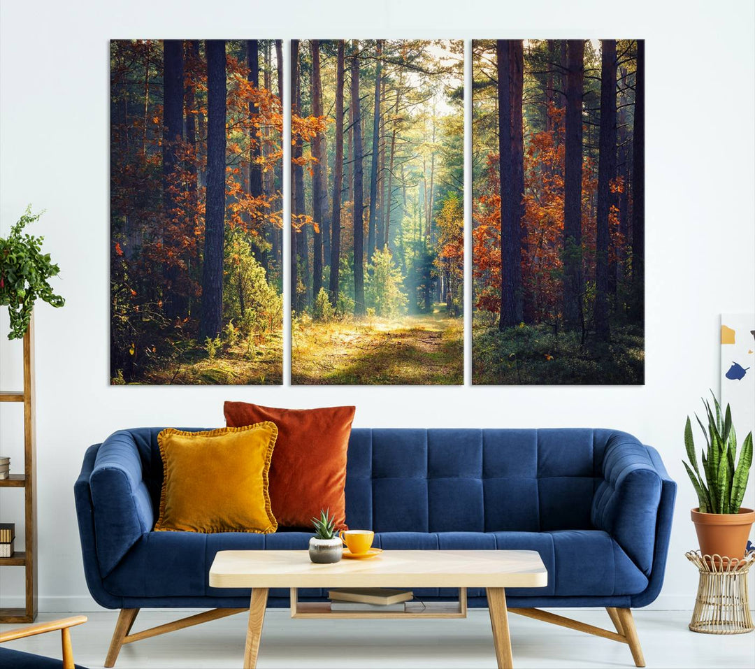 Beautiful Forest Landscape Picture Canvas Print Large Wall Art Home Gift