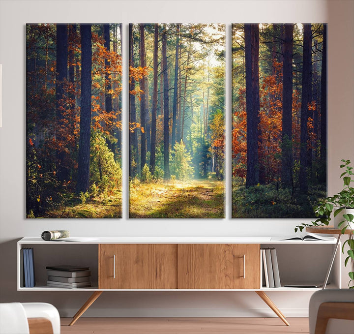 Beautiful Forest Landscape Picture Canvas Print Large Wall Art Home Gift