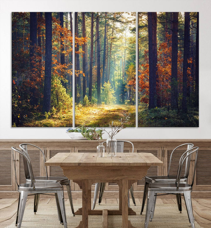 Beautiful Forest Landscape Picture Canvas Print Large Wall Art Home Gift