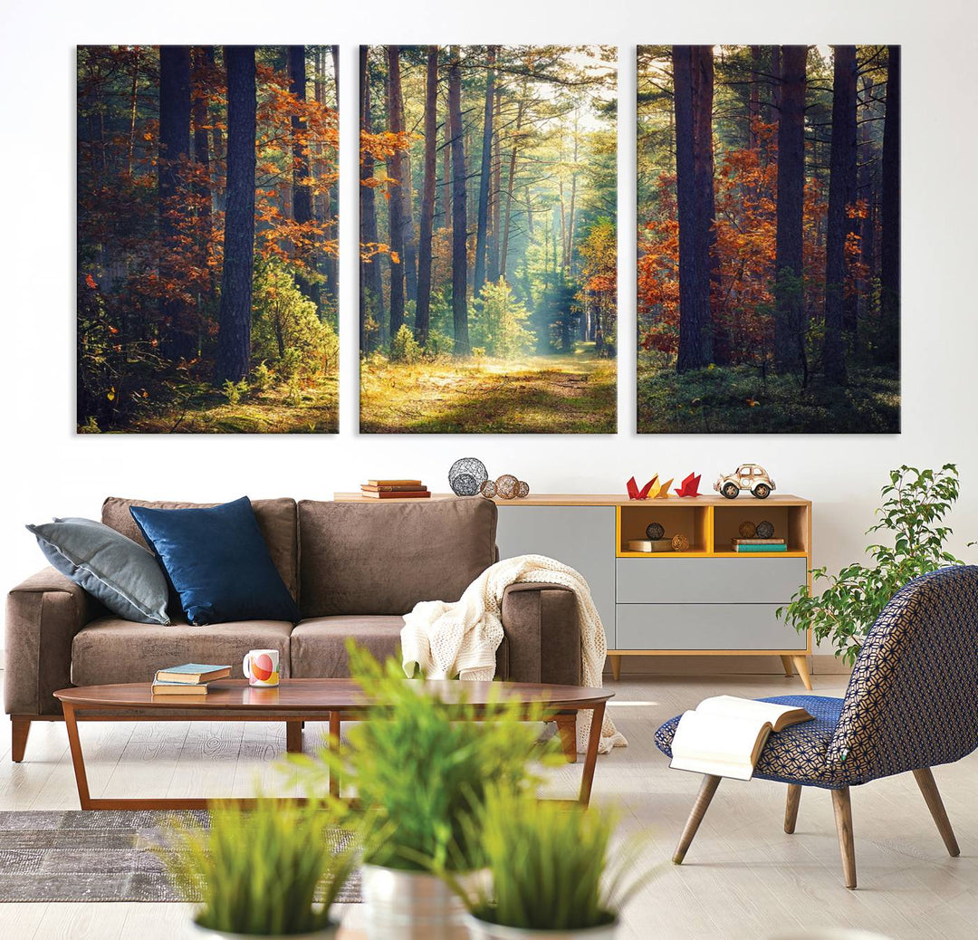 Beautiful Forest Landscape Picture Canvas Print Large Wall Art Home Gift