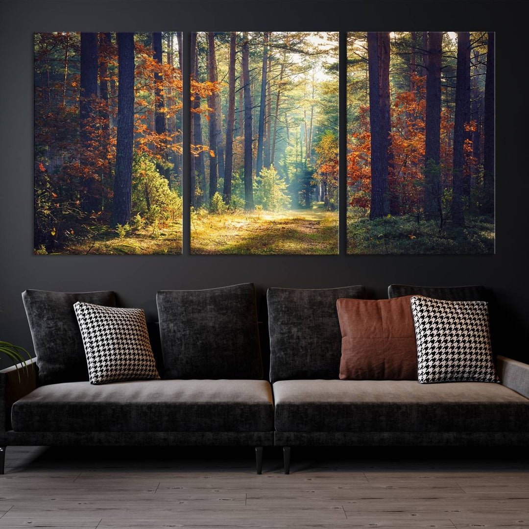 Beautiful Forest Landscape Picture Canvas Print Large Wall Art Home Gift