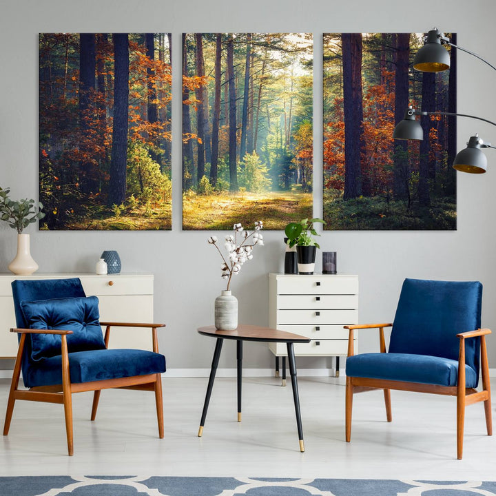 Beautiful Forest Landscape Picture Canvas Print Large Wall Art Home Gift