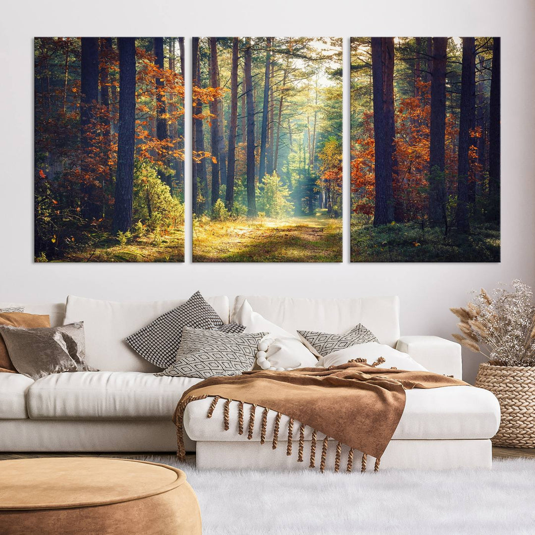 Beautiful Forest Landscape Picture Canvas Print Large Wall Art Home Gift