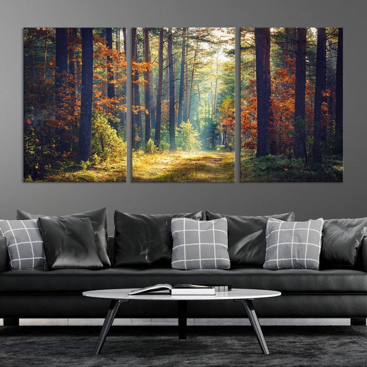 Beautiful Forest Landscape Picture Canvas Print Large Wall Art Home Gift