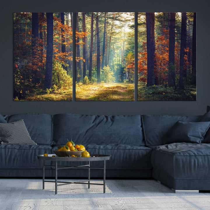 Beautiful Forest Landscape Picture Canvas Print Large Wall Art Home Gift