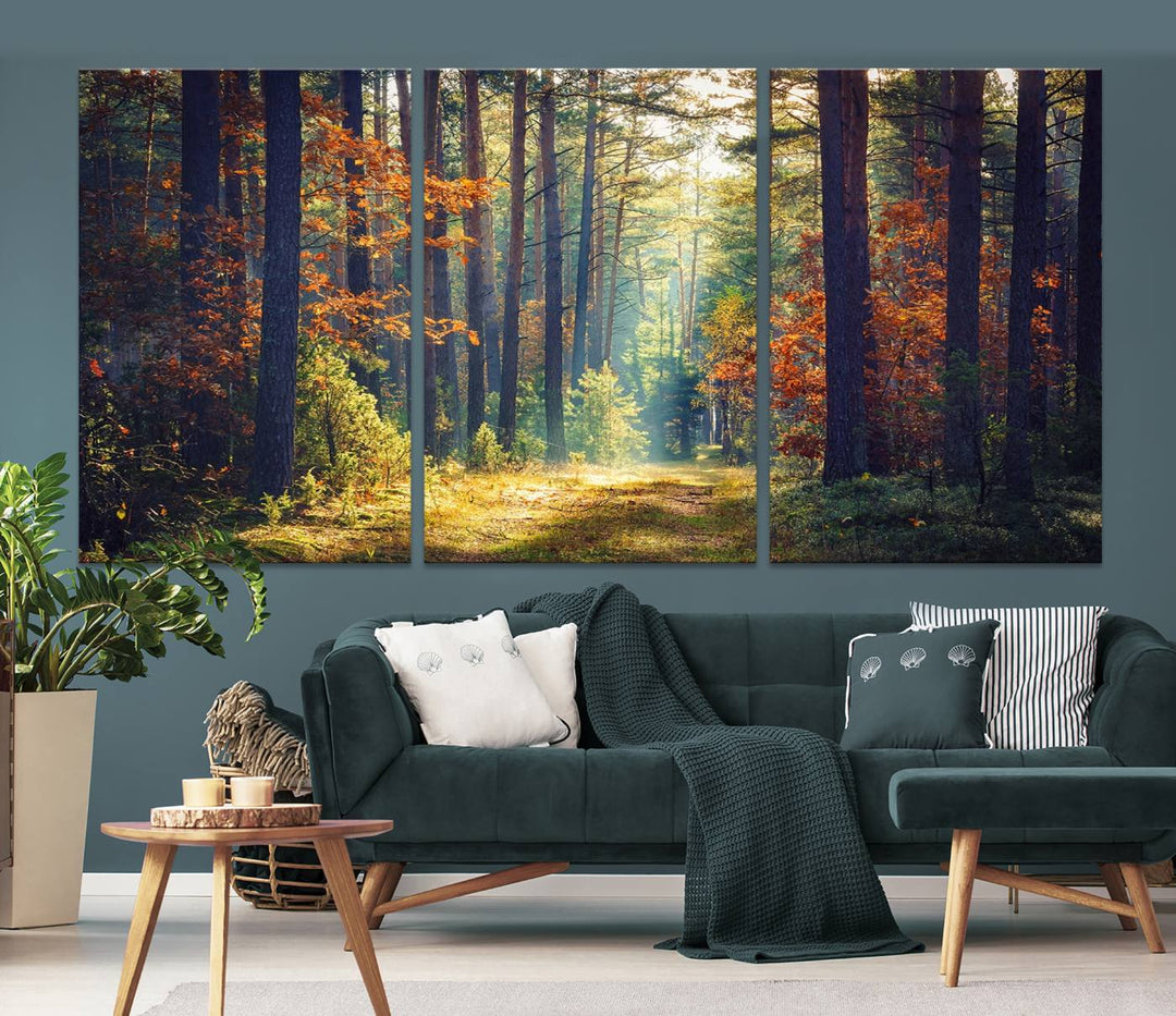 Beautiful Forest Landscape Picture Canvas Print Large Wall Art Home Gift