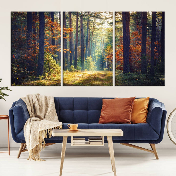 Beautiful Forest Landscape Picture Canvas Print Large Wall Art Home Gift