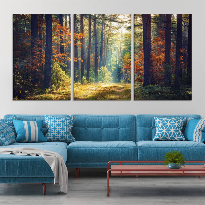 Beautiful Forest Landscape Picture Canvas Print Large Wall Art Home Gift