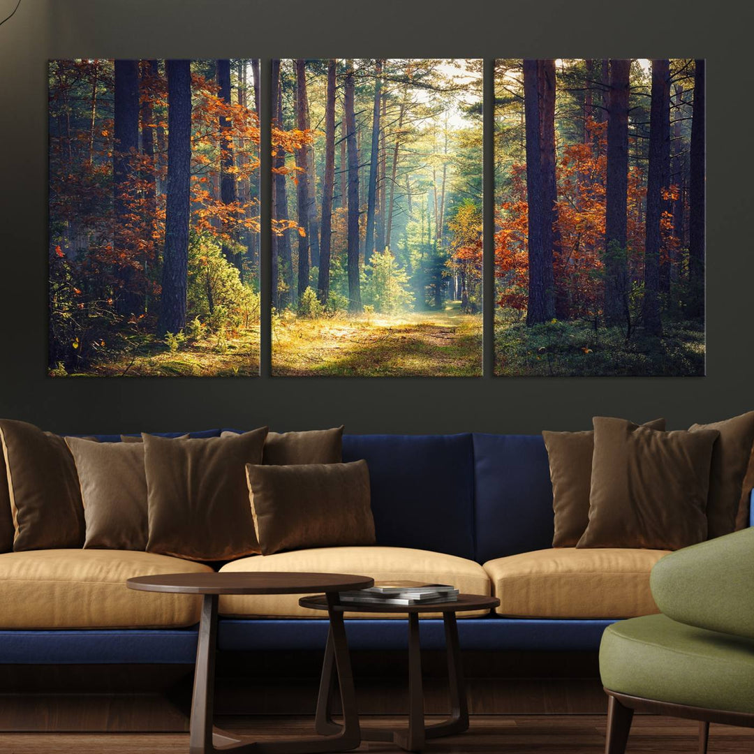 Beautiful Forest Landscape Picture Canvas Print Large Wall Art Home Gift