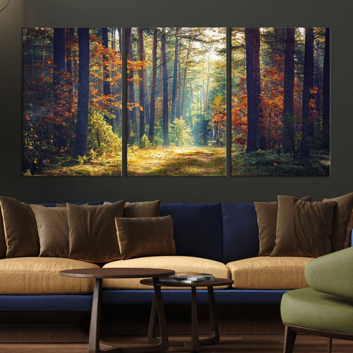 Beautiful Forest Landscape Picture Canvas Print Large Wall Art Home Gift