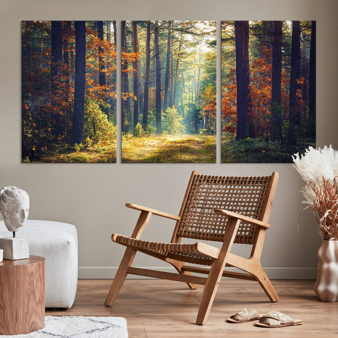 Beautiful Forest Landscape Picture Canvas Print Large Wall Art Home Gift