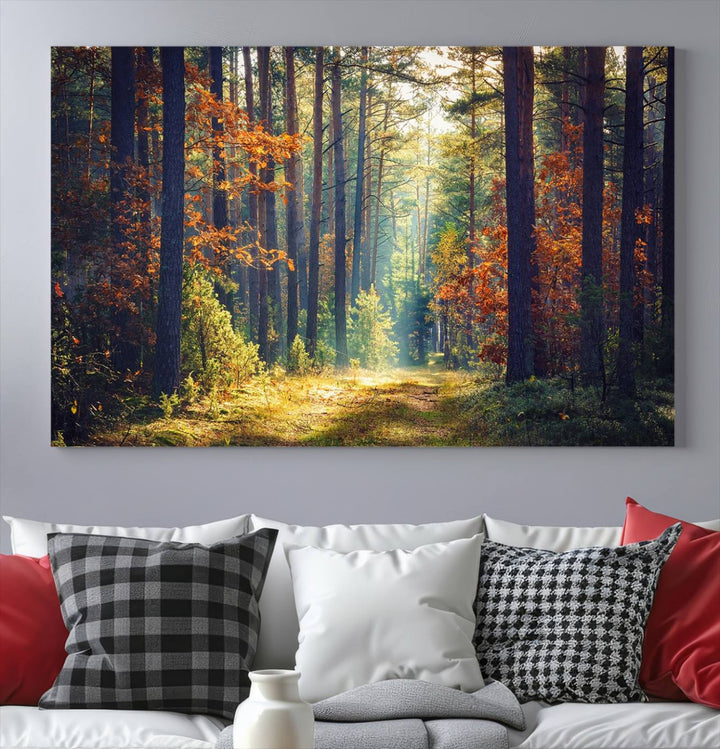 Beautiful Forest Landscape Picture Canvas Print Large Wall Art Home Gift