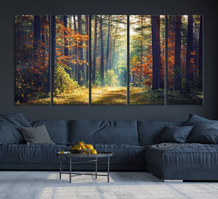 Beautiful Forest Landscape Picture Canvas Print Large Wall Art Home Gift