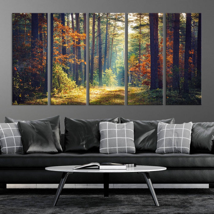 Beautiful Forest Landscape Picture Canvas Print Large Wall Art Home Gift