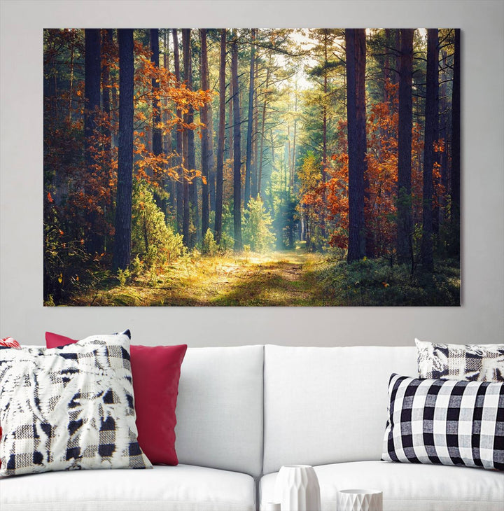 Beautiful Forest Landscape Picture Canvas Print Large Wall Art Home Gift