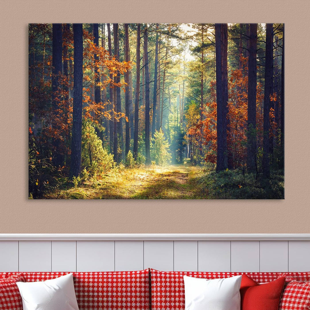 Beautiful Forest Landscape Picture Canvas Print Large Wall Art Home Gift